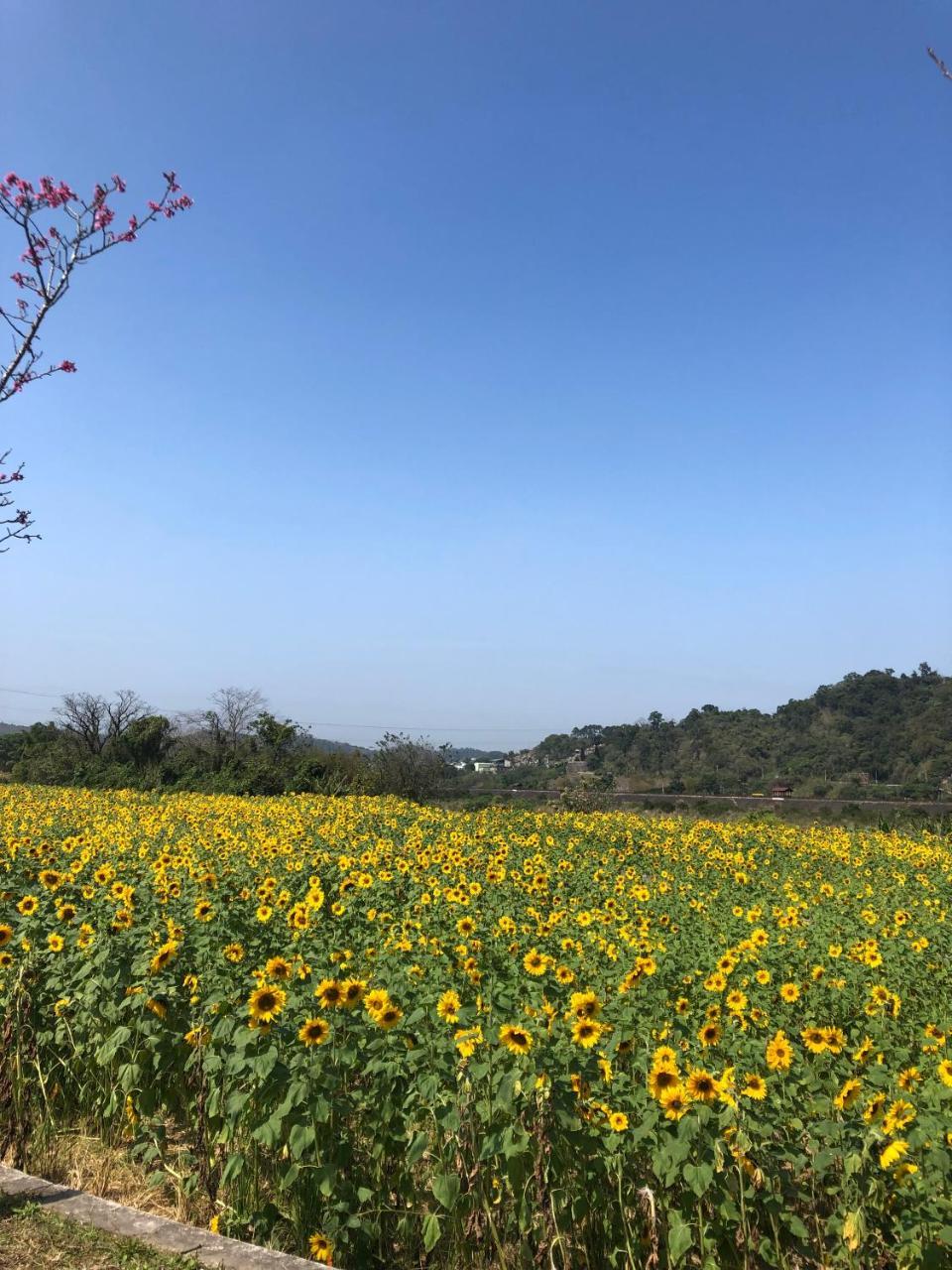 南庄漫晨旅店nanzhuang Manchen B&B מראה חיצוני תמונה